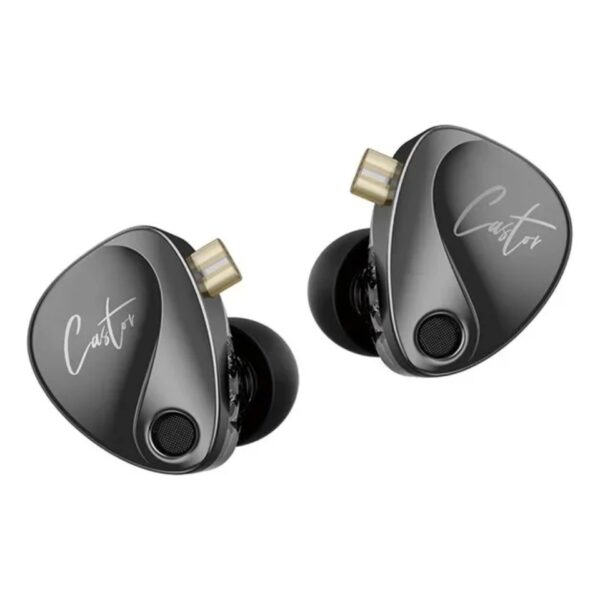 KZ Castor - Imagen 3